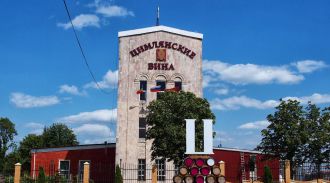 Завод «Цимлянские вина» временно приостановил работу
