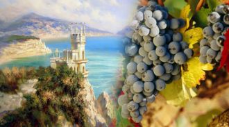 Виноделы Крыма и Севастополя планируют создать винные маршруты для туристов