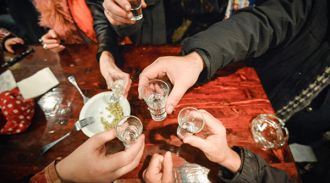 Пьяные мушки помогли ученым выяснить, как работает алкоголь